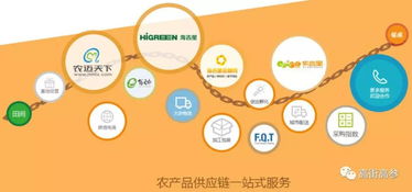 生鮮B2B旺火，為何“燒”不掉農(nóng)貿(mào)市場？——網(wǎng)絡(luò)信息技術(shù)服務(wù)下的共生邏輯