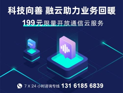 互聯(lián)網(wǎng)通信云PaaS選型開發(fā)者必備指南 網(wǎng)絡(luò)與信息技術(shù)服務(wù)的考量
